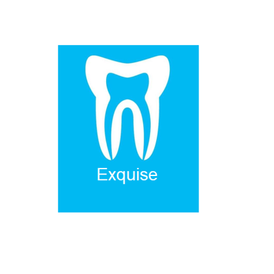 Logo Exquise